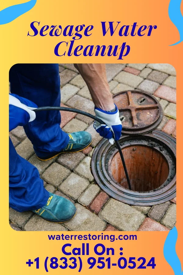 Sewage Water Cleanup in Tarkio, MO