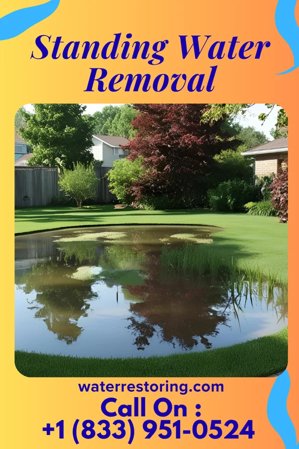 Standing Water Removal in Tarkio, MO